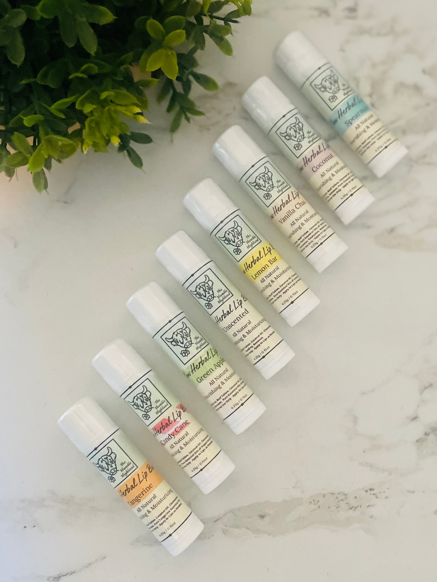 Tallow Herbal Lip Balm