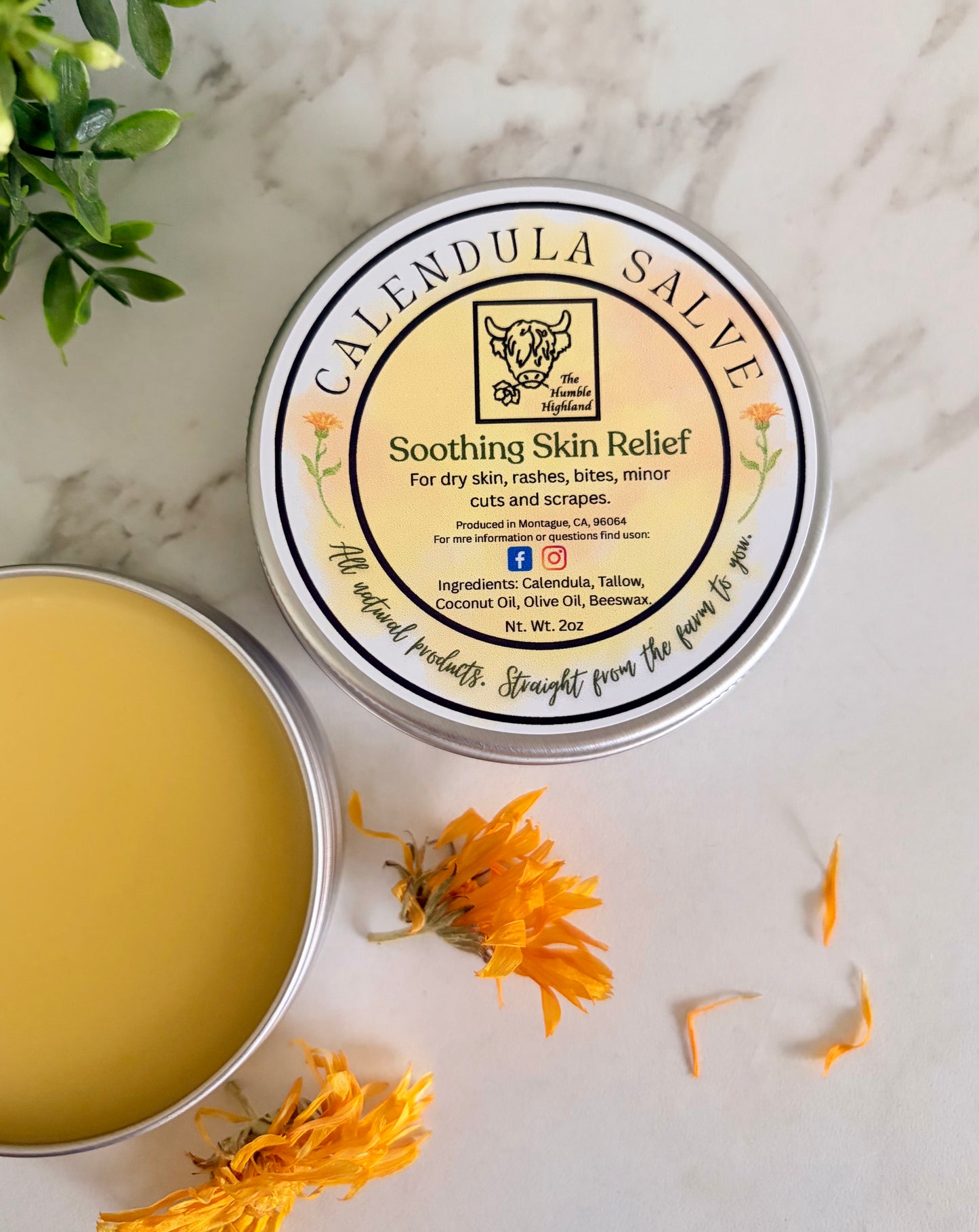 Calendula Salve